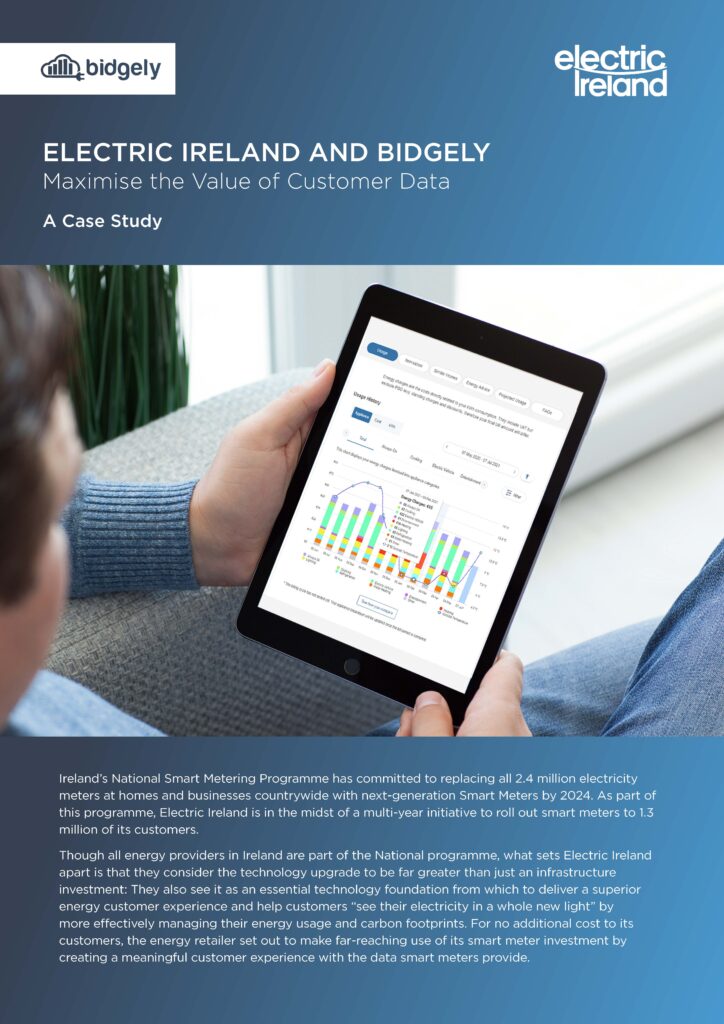 Cover of Electric Ireland case study