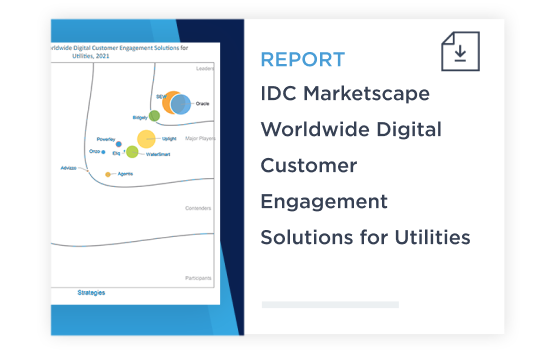 PREVIEW IDC Marketplace Report.png