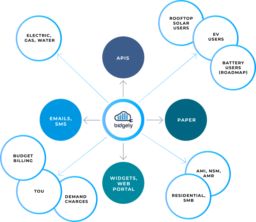 Bidgely Omnichannel CX Engagement.png