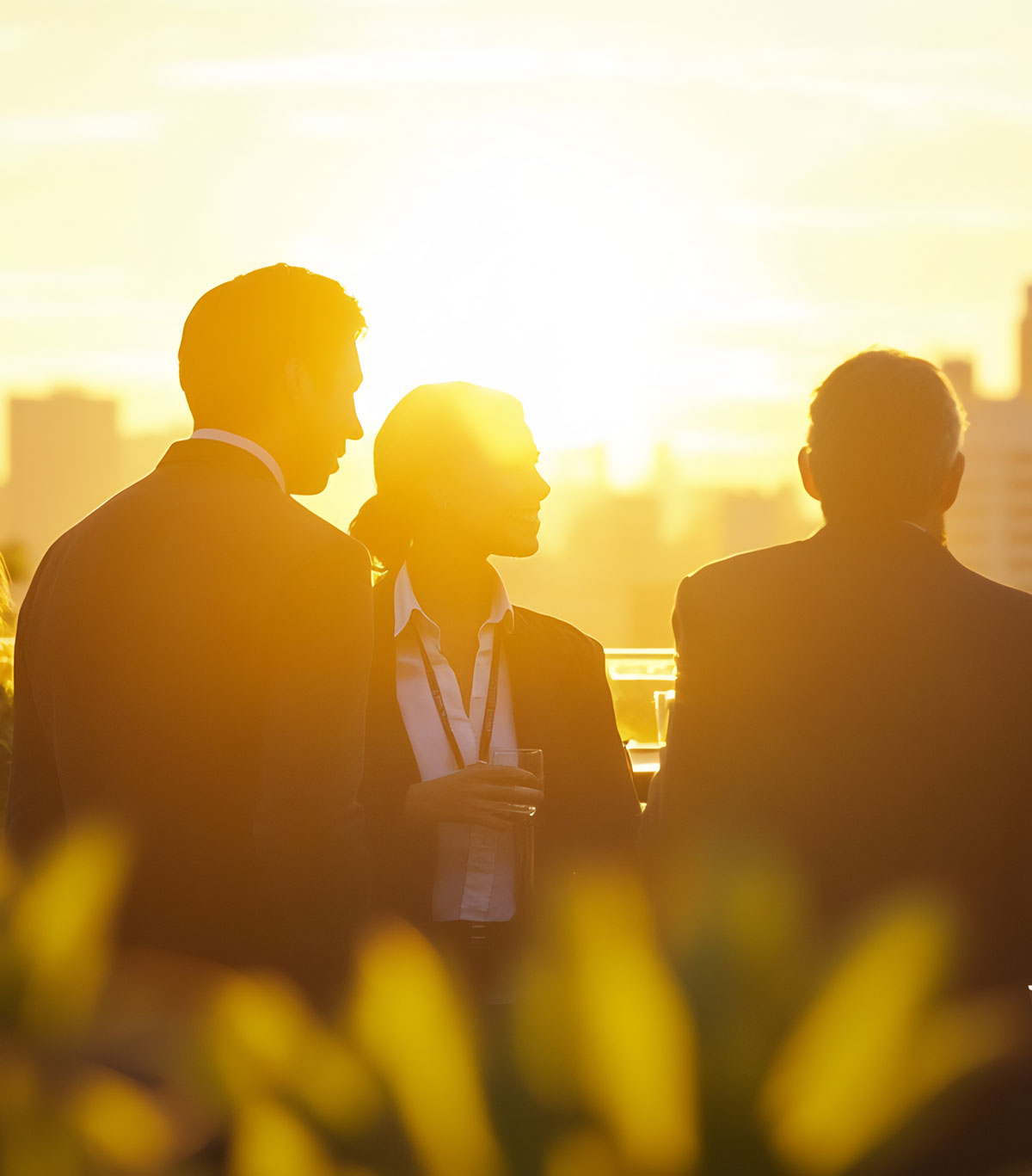 Business Professionals Networking Sunset Event Cropped